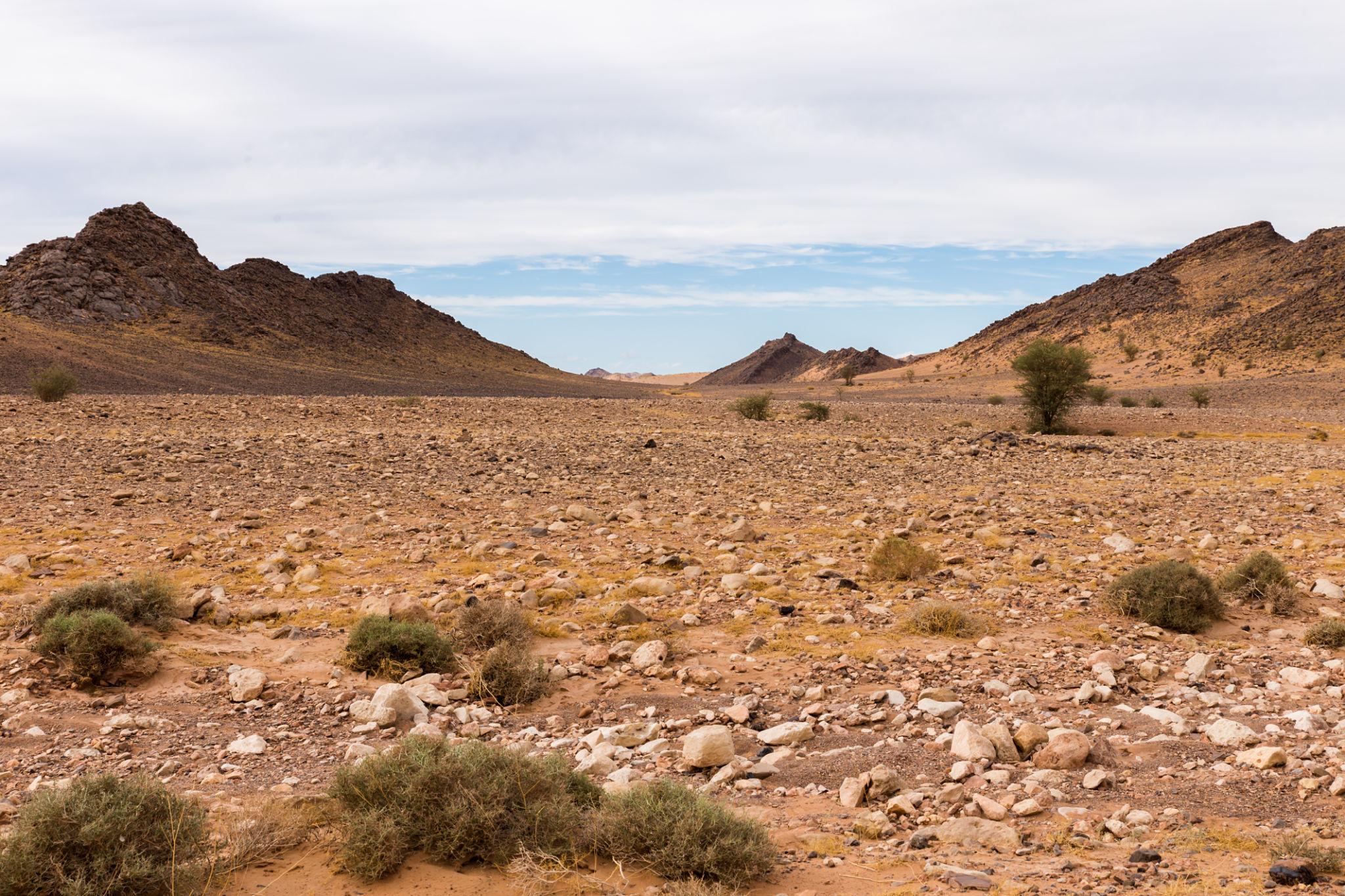 Merzouga- Khamlia- Taouz- Ouzina- Ramlia- M'harch